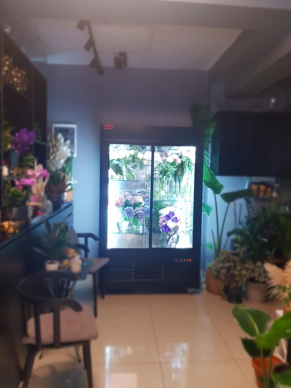 BLOOM AND FRESH