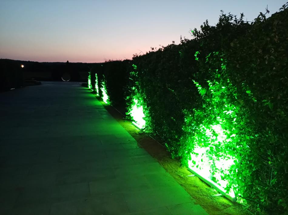 HOTEL CAELİ