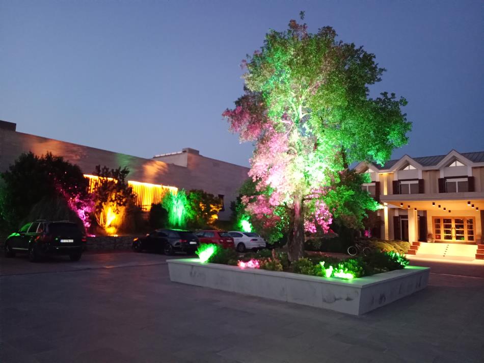 HOTEL CAELİ
