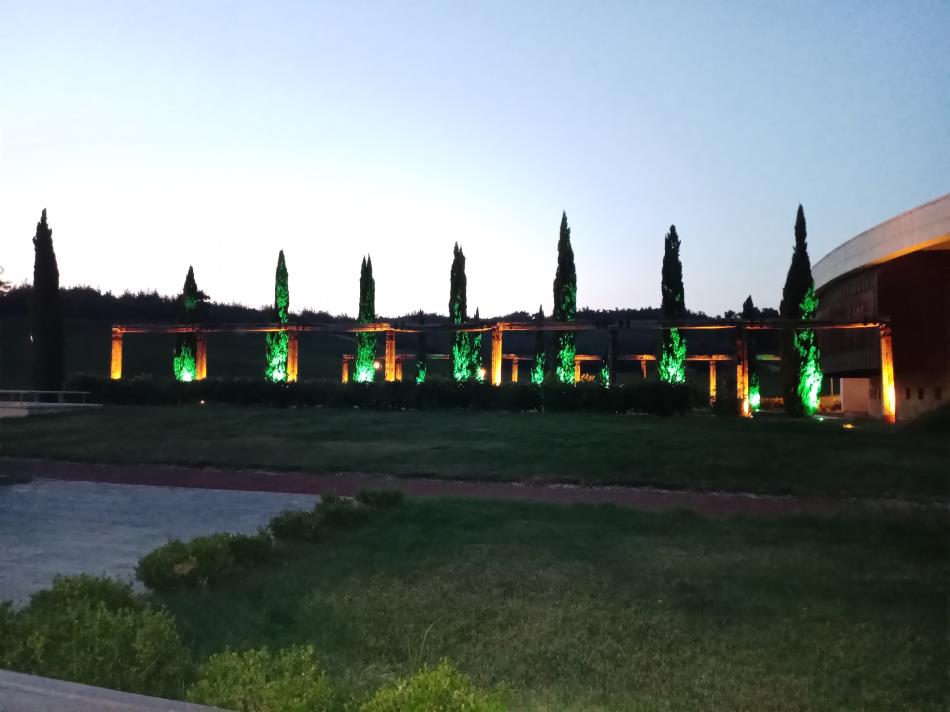 HOTEL CAELİ